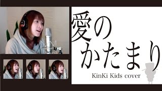 愛のかたまり  KinKi Kids cover by Rune [upl. by Ithnan]