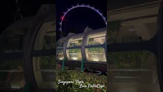 Singapore Flyer Capsule reels singaporetrip foryou singaporevideos fypシ゚ fyp fypシ゚viral [upl. by Kaule]