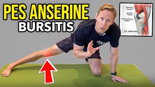 Pes Anserine Bursitis  Knee Rehab Exercises [upl. by Partridge]