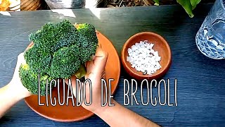 Licuado de brócoli para malestar estomacal Helicobacter pylori [upl. by Idnaj]