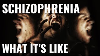 What its like to have schizophrenia [upl. by Xer322]