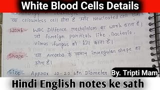 white blood cells in details  Leucocytes  types of WBC  WBC kya hota hai wbcs [upl. by Niowtna470]