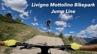 Livigno Mottolino Bikepark  Jump line with Cross Country Bikes  POV following Max Brandl [upl. by Guzel535]