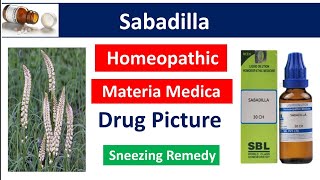 Sabadilla Homeopathic Medicine  Drug Picture  Materia Medica bhms materiamedica sabadilla [upl. by Williamsen]