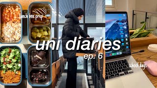 📚 UNI VLOG engineering student diaries lunch box prep morning routine unboxing final semester🖇️ [upl. by Ramirol]