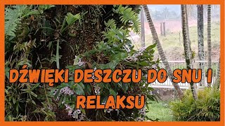 ⛈️🌿 DESZCZ DZIAŁA DO SPANIA 💤🌙 [upl. by Eelhsa117]