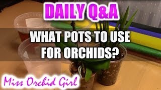 QampA  What pots to use for Orchids [upl. by Paradies]