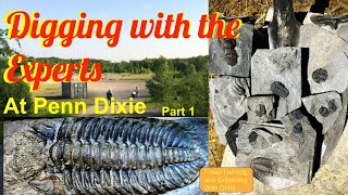 Fossils Digging with the Experts at Penn Dixie Part 1 Fossil Hunting and Fossil Collecting w Chris [upl. by Seward]