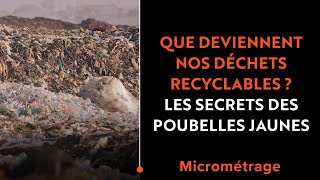 Que deviennent nos déchets recyclables  Les secrets des poubelles jaunes [upl. by Yrnehnhoj]