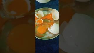 എഗ്ഗ് ബോയ്ലർ നോക്കി വാങ്ങിയില്ലെങ്കിൽegg boiler camparison cooking egg [upl. by Enneirdna]