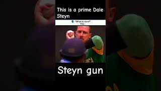 Prime dale Steyn shorts [upl. by Marquez105]