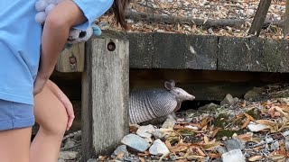 Armadillo at Gillham Lake and Fishing at Cossatot Reefs [upl. by Mabel520]