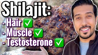 Shilajit for Testosterone Hair and Muscles  Shilajit Does it Work [upl. by Millda]