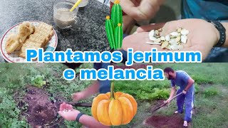 JERIMUM DE LEITE JERIMUM CABOCLO E MELANCIA 🎃 🍉 [upl. by Nayd]