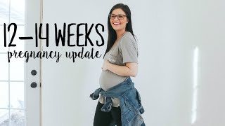 1214 WEEKS PREGNANCY UPDATE AND BELLY SHOT SECOND PREGNANCY [upl. by Anyaj]