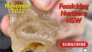 Fossicking Northern Rivers November 2022 [upl. by Nomzaj]