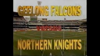 1994 VSFL Grand Final  Geelong Falcons vs Northern Knights [upl. by Ribak837]