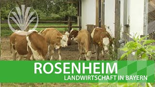 Landwirtschaft in Bayern Landkreis Rosenheim in Oberbayern [upl. by Auoz645]