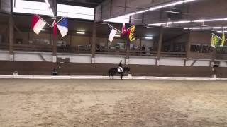 Concours de dressage  Corminboeuf  FB03  Tomek de Groom [upl. by Aneel]