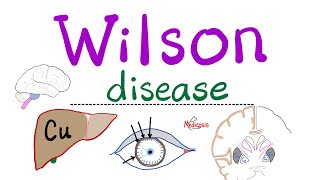 Wilson disease Hepatolenticular Degeneration Copper  Causes Symptoms Diagnosis Treatment [upl. by Ahsiuqet786]