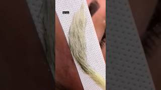 Threading Brazilian Gel waxing Eyebrow 🔥👍🏻viral short NamasteShree [upl. by Boesch124]