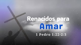 Renacidos para Amar 1 Pedro 1 2223 [upl. by Sharon]