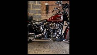 HarleyDavidson Softail sussexmotorcyclevalet [upl. by Glenden]