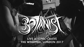 Botanist  Live at Sonic Grave London 2017 [upl. by Atis]