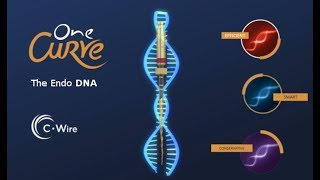 One Curve  The Endo DNA [upl. by Ianthe]