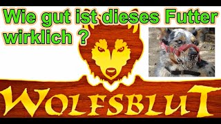 Wolfsblut Hundefutter  Wie gut ist das   Hundefutter Test  Hundeernährung  Nature Trails [upl. by Adamsen]