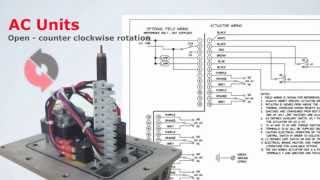 B Series Electric Actuator AC and DC Wiring Instructions [upl. by Einehpets366]