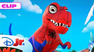 MARVEL SPIDEY Y SU SUPEREQUIPO Dinotelarañas a la orden 🕷️  DisneyJuniorES [upl. by Airyt]