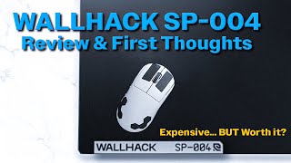 BEST Mousepad on the Market WallHack SP004 Review and First Thoughts [upl. by Trace]