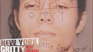 New York Zodiac Killer Evaded Cops for Years [upl. by Ecile992]