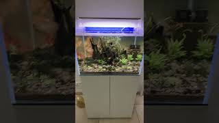 Verdammt nochmal aquarium aquaristik [upl. by Trenton]