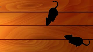 JUEGOS PARA GATOS RATONES  MICE [upl. by Reiko]