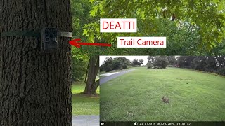 DEATTI 48MP Trail Camera night vision and SD card trailcam trailcamera hunting [upl. by Jorie]