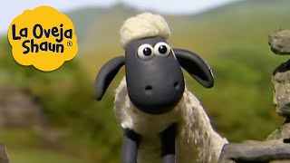 La Oveja Shaun 🐑 Shaun en una aventura 🐑 Dibujos animados para niños [upl. by Ttihw]