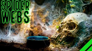 TOP 10 Heaviest Webbing Tarantulas BIG Spiders BIGGER Webs [upl. by Hayidah]