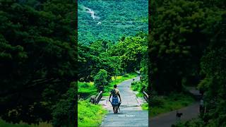 vellari medu is a beautiful village of palakkad district851swapna💚village palakkad [upl. by Bogoch439]