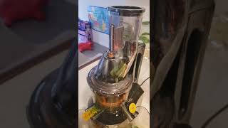 Ventray 808 Masticating Juicer  Healthy  Juicing For Health  Green Juice  Recipes  Fruits [upl. by Ahsimaj]