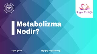 Metabolizma Nedir SağlıkSözlüğü [upl. by Mosier]