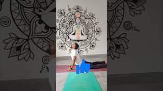 How to Do Cobra Pose  Bhujangasana For Back Pain Relief  Cobra Pose For Beginners [upl. by Prosper622]