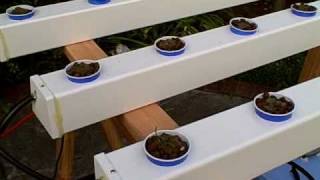 How to Build a Hydroponic Garden [upl. by Ursulina]