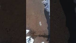 11092024 Colorado Springs snowstorm aftermath 2hour dig out [upl. by Ahsrat]