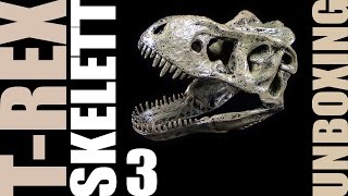 EduToys ®  Tyrannosaurus Rex Skelett  TRex Skeleton  Unboxing Teil 3  ReUpload [upl. by Marcel371]