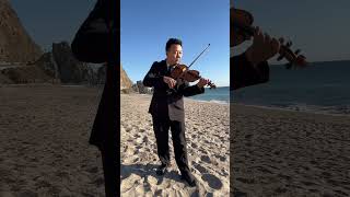 Concerning Hobbits… violin violinmusic violinist thehobbit music lordoftherings lotr cover [upl. by Phyl]