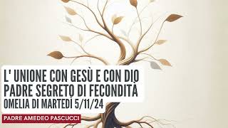 L UNIONE CON GESÙ E CON DIO PADRE SEGRETO DI FECONDITA  omelia 051124  Padre Amedeo Pascucci [upl. by Jakoba]