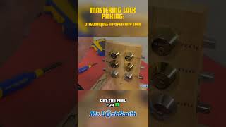 Mastering Lock Picking 3 Techniques to Open Any Lock [upl. by Deuno386]