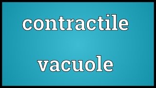 Contractile vacuole Meaning [upl. by Obie]